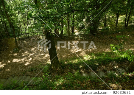 佐野市唐澤城遺址 帶比來輪遺址 92683681