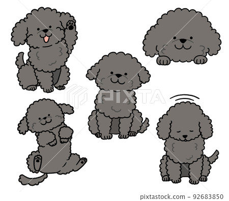 toy poodle set black 92683850
