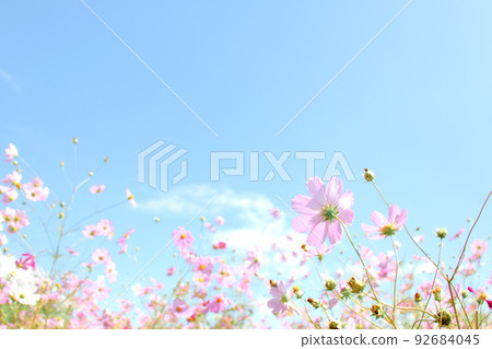 溫柔的宇宙在蔚藍的天空中閃耀 92684045