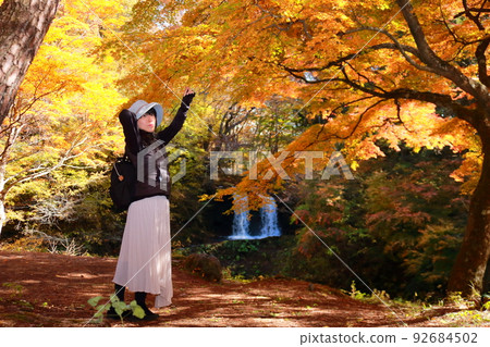 Female traveling alone autumn leaves viewing scenery 92684502