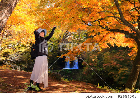 Female traveling alone autumn leaves viewing scenery 92684503