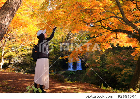 Female traveling alone autumn leaves viewing scenery 92684504