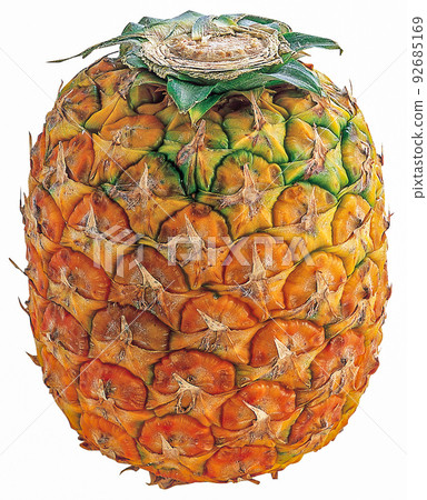 pineapple pineapple 92685169