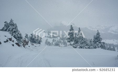 Snow covered forest on top of mountain Ai-Petri after blizzard. Crimea Snow covered forest on top of mountain Ai-Petri after blizzard. Crimea 92685231