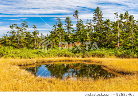 Japan's 100 Famous Mountains Hachimantai Pond in Autumn with Autumn Leaves 92685463