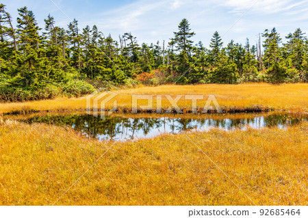 Japan's 100 Famous Mountains Hachimantai Pond in Autumn with Autumn Leaves Japan's 100 Famous Mountains Hachimantai Pond in Autumn with Autumn Leaves 92685464