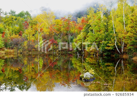 以晨霧為背景的 Norikura Kogen Maime no Ike 的秋葉 Ver3 92685934