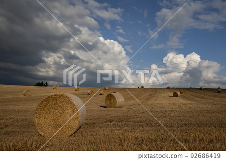 麥卷之地 92686419