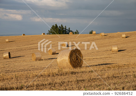 land of wheat rolls land of wheat rolls 92686452