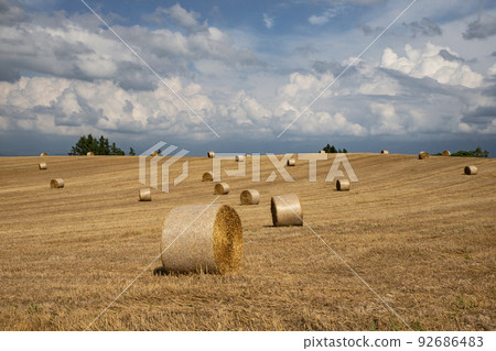 麥卷之地 92686483