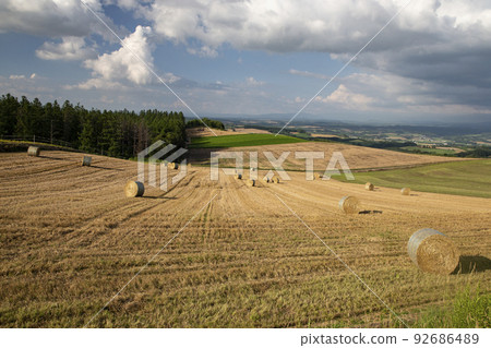 land of wheat rolls land of wheat rolls 92686489
