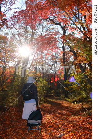 Woman traveling alone Autumn leaves hunting Back view walking in the forest of fallen leaves 92687612