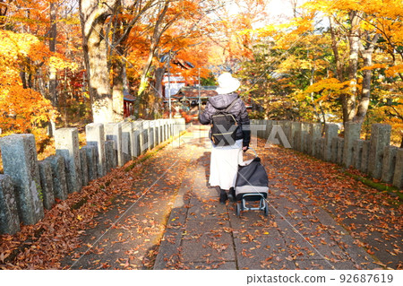 獨自旅行秋葉狩獵的女人在落葉林中行走的背影 獨自旅行秋葉狩獵的女人在落葉林中行走的背影 92687619