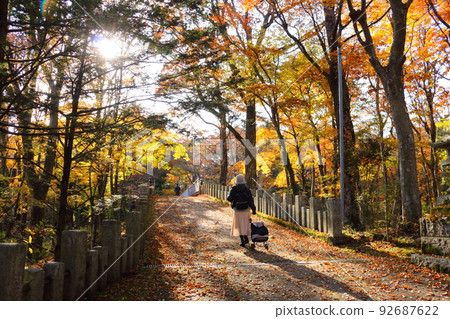 Woman traveling alone Autumn leaves hunting Back view walking in the forest of fallen leaves 92687622
