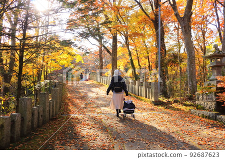 Woman traveling alone Autumn leaves hunting Back view walking in the forest of fallen leaves Woman traveling alone Autumn leaves hunting Back view walking in the forest of fallen leaves 92687623