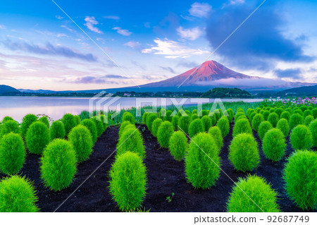 [Mt. Fuji material] Mt. Fuji seen from Lake Kawaguchi in summer [Yamanashi Prefecture] 92687749