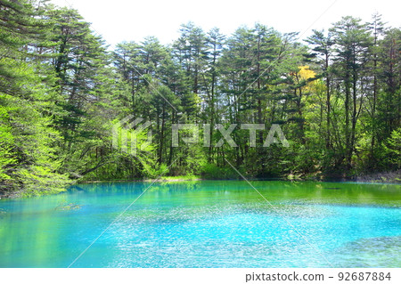 五色沼的春天景色 五色沼的春天景色 92687884