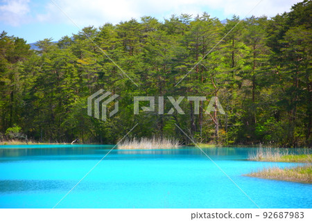 五色沼的春天景色 92687983