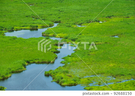 從小太郎濕原展望台眺望夏季釧路濕原 92688150