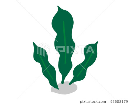 Cute seaweed konbu / hand-drawn illustration material 92688179