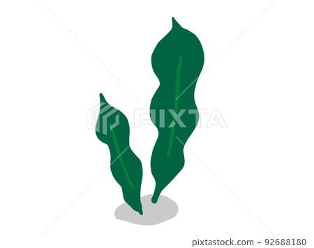 Cute seaweed konbu / hand-drawn illustration material 92688180