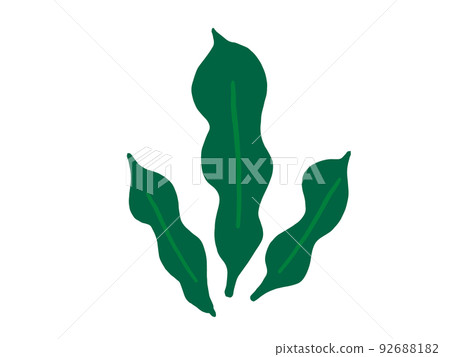 可愛的海藻昆布/手繪插圖素材 92688182