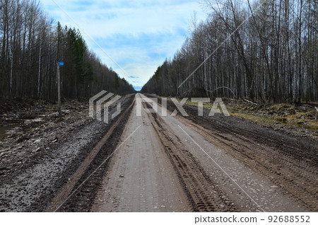 The country road runs through the forest. Spring thaw. Kilometer post on the left side of the road. Photo project `Country roads`. The country road runs through the forest. Spring thaw. Kilometer post on the left side of the road. Photo project `Country roads`. 92688552