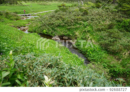 Summer Hachimantai is a flower garden Wetland 92688727