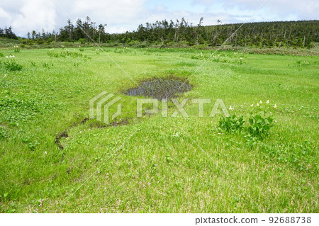 Summer Hachimantai is a flower garden Wetland Summer Hachimantai is a flower garden Wetland 92688738