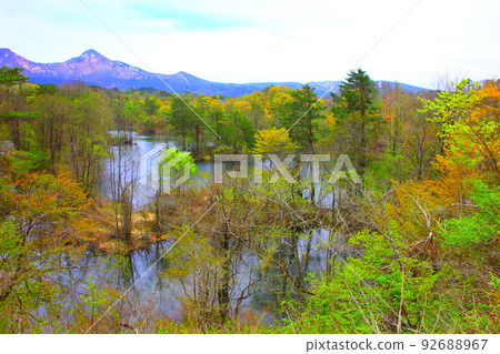 Spring scenery of Urabandai Nakasenuma Spring scenery of Urabandai Nakasenuma 92688967
