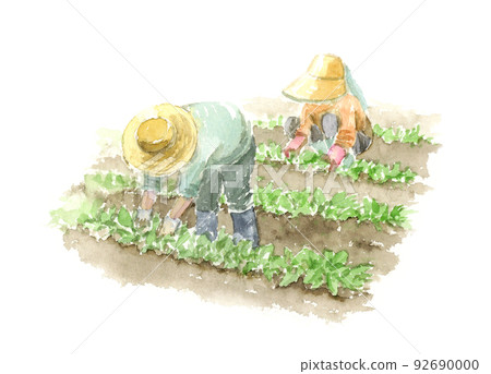 一對夫婦在田間種植蔬菜的水彩插圖 一對夫婦在田間種植蔬菜的水彩插圖 92690000