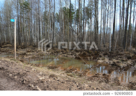 Side of a country road with a puddle. The country road passes through the spring forest. Mudslide. Kilometer post on the side of the road. Photo project `Country roads`. Side of a country road with a puddle. The country road passes through the spring forest. Mudslide. Kilometer post on the side of the road. Photo project `Country roads`. 92690803