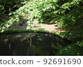 Autumn leaves and ponds 92691690
