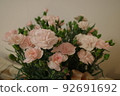 dull pink carnation 92691692
