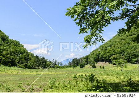 北海道洞爺湖中島漫步 北海道洞爺湖中島漫步 92692924