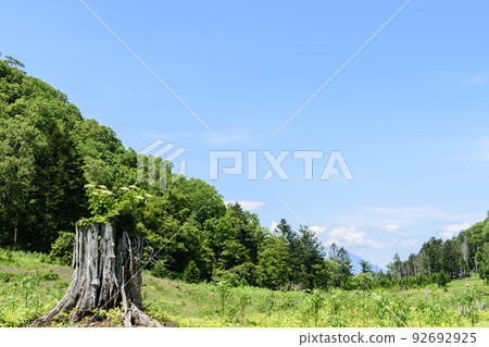 北海道洞爺湖中島漫步 92692925