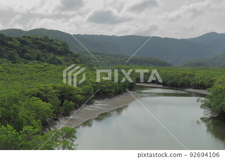 View of Komidake and mangrove forest from Iriomote Island Gorabashi Road Park 92694106