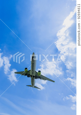 “飛機”波音 737-800 波音 737-800 92694811