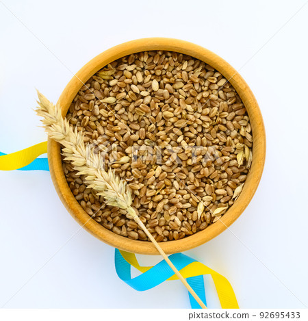 Wheat spikelets and ribbons in colors of Ukrainian flag on light background Wheat spikelets and ribbons in colors of Ukrainian flag on light background 92695433