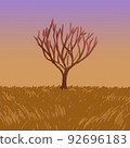 Dead tree, grassland and sunset 92696183