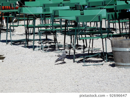 瑞典卓寧霍姆宮寒鴉 92696647