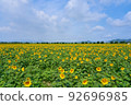Sunflowers at Kasaoka Roadside Station Bay Farm 92696985