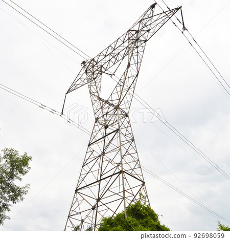 High voltage electricity cables detail, green ivy vegetation and clean sky 92698059
