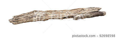 Dry tree twig branch isolated on white 92698598