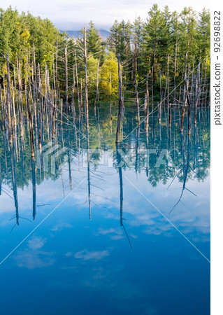 Autumn blue pond that reflects the blue sky Biei-cho 92698822