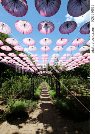 Yakurai Garden傘天空和藍天 92699092