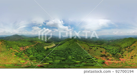 Azaleas of Mt. Tokusenjo Aerial view 92700194
