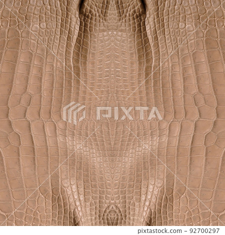 Very luxurious square crocodile skin texture used in textile industry Very luxurious square crocodile skin texture used in textile industry 92700297