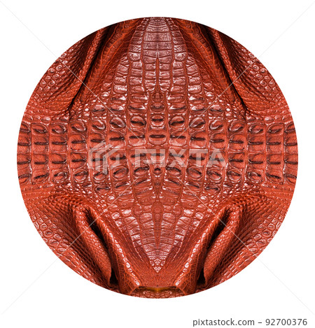 Very luxurious round crocodile skin texture used in textile industry 92700376