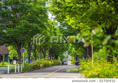 《Aichi Prefecture》Nagoya Cityscape Nagoya Central Garden 《Aichi Prefecture》Nagoya Cityscape Nagoya Central Garden 92700416